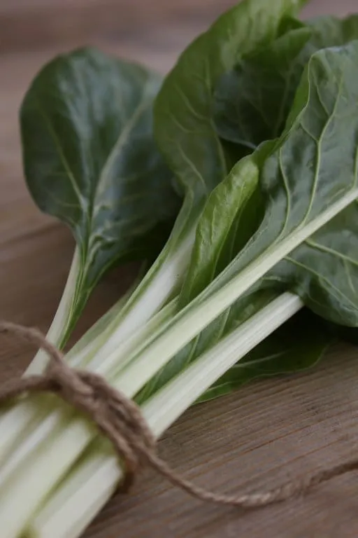 A bunch of chard, tied with twine