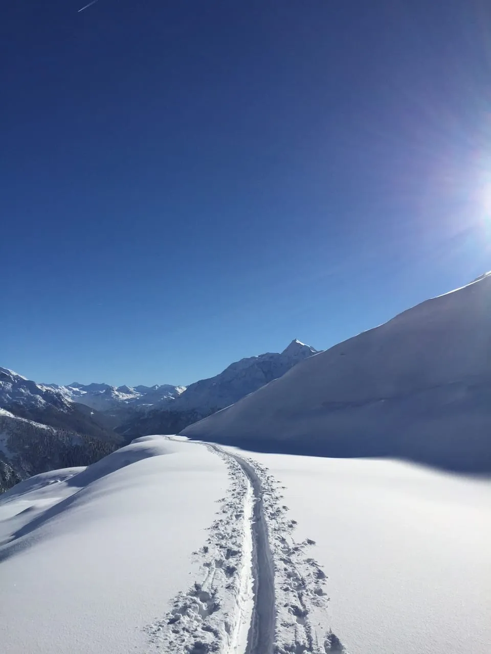 A single ski track curving through fresh powder